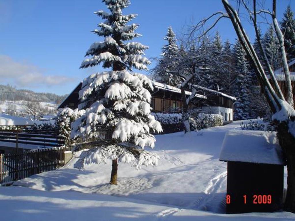 Relax Pension U Nosku Smržovka 客房 照片